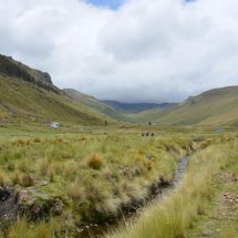 GORE PUNO MAÑANA COLOCARÁ PRIMERA PIEDRA DEL SISTEMA DE RIEGO EN EL CENTRO POBLADO DE CHALLAPAMPA, DISTRITO DE COPANI – YUNGUYO