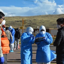 PUNEÑOS VARADOS EN LA CIUDAD DE LIMA ARRIBARON A LA REGIÓN PUNO