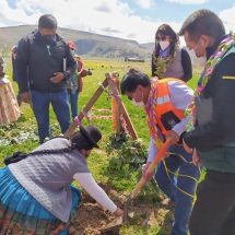 Nota de Prensa<br>CAMPAÑA DE REFORESTACIÓN BENEFICIÓ CON MÁS DE 2 MIL PLANTONES AL DISTRITO DE PLATERÍA