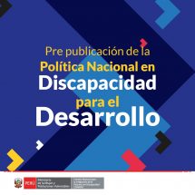 POLITICA NACIONAL EN DISCAPACIDAD PARA EL DESARROLLO AL 2030