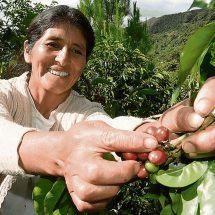 Nota de Prensa<hr>MUJER PUNEÑA SERÁ RECONOCIDA CON MEDALLA MIDAGRI-2021 POR SU CONTRIBUCIÓN COMO MUJER AGRARIA A LA AGRICULTURA FAMILIAR