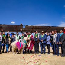 Nota de Prensa<hr>MUESTRAN POTENCIALIDADES DE LA ALPACA EN FESTIVAL REGIONAL