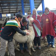 Nota de Prensa <hr> ZONA CORDILLERA Y FRONTERIZA CENTRO POBLADO DE PASTO GRANDE CUENTA CON CENTRO DE REPRODUCCIÓN DE REPRODUCTORES (CPR)