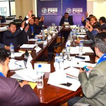 Nota de Prensa<hr>GOBIERNO REGIONAL PUNO CREA EL “PROGRAMA REGIONAL PUNO DESARROLLA”